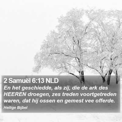 2 Samuël 6:13 NLD Bible Verse Image
