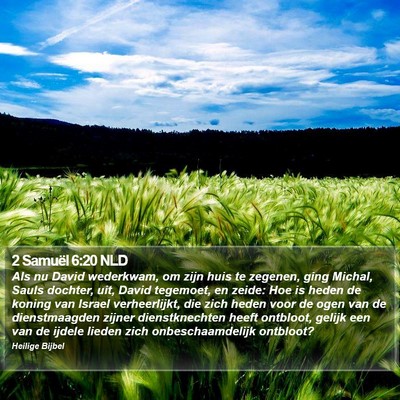 2 Samuël 6:20 NLD Bible Verse Image