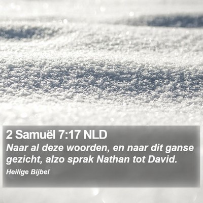 2 Samuël 7:17 NLD Bible Verse Image