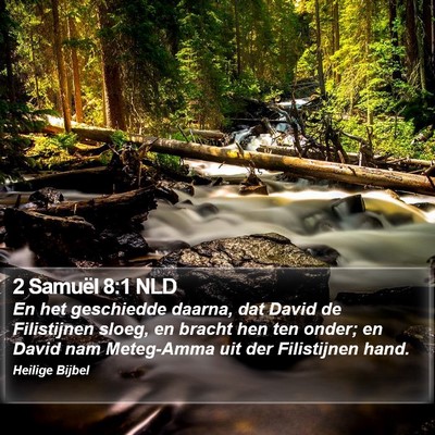 2 Samuël 8:1 NLD Bible Verse Image