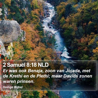 2 Samuël 8:18 NLD Bible Verse Image