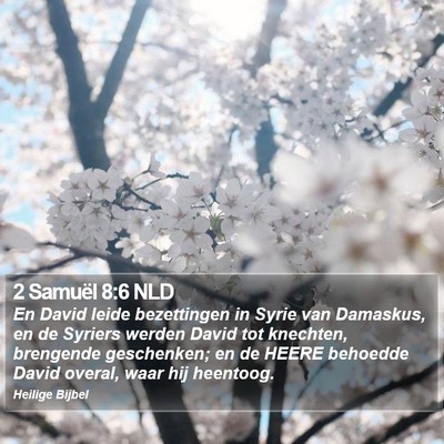 2 Samuël 8:6 NLD Bible Verse Image