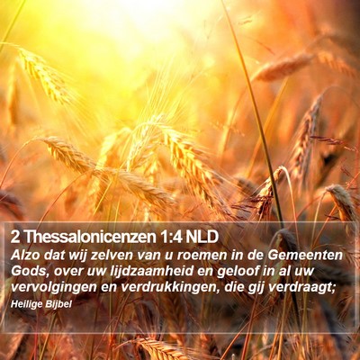 2 Thessalonicenzen 1:4 NLD Bible Verse Image
