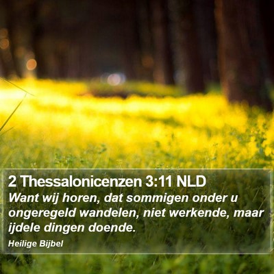 2 Thessalonicenzen 3:11 NLD Bible Verse Image