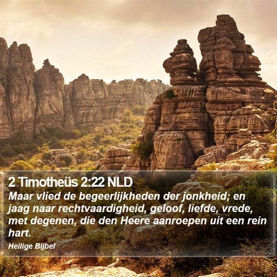 2 Timotheüs 2:22 NLD Bible Verse Image