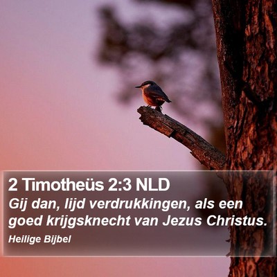 2 Timotheüs 2:3 NLD Bible Verse Image