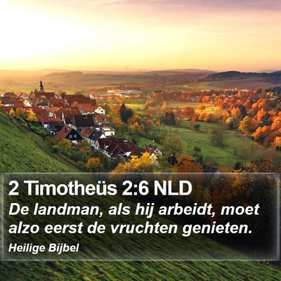 2 Timotheüs 2:6 NLD Bible Verse Image