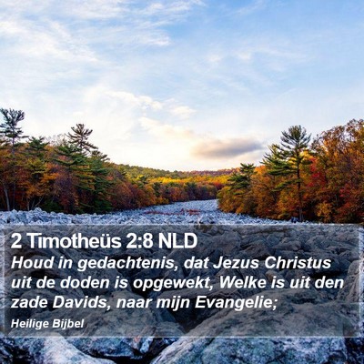 2 Timotheüs 2:8 NLD Bible Verse Image
