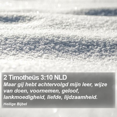 2 Timotheüs 3:10 NLD Bible Verse Image