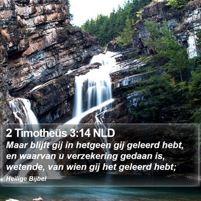 2 Timotheüs 3:14 NLD Bible Verse Image