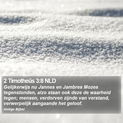 2 Timotheüs 3:8 NLD Bible Verse Image
