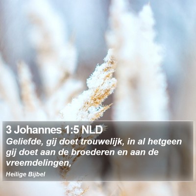 3 Johannes 1:5 NLD Bible Verse Image