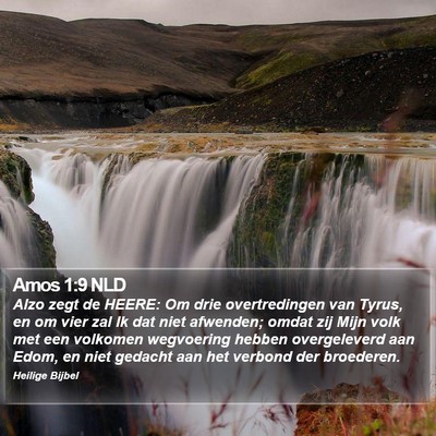 Amos 1:9 NLD Bible Verse Image