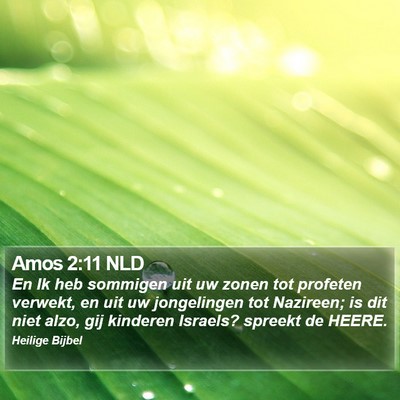 Amos 2:11 NLD Bible Verse Image