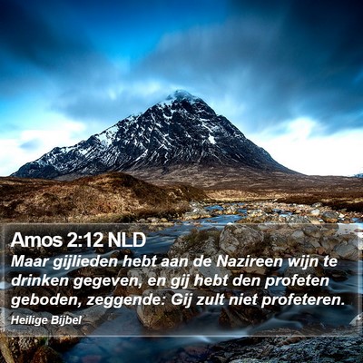 Amos 2:12 NLD Bible Verse Image