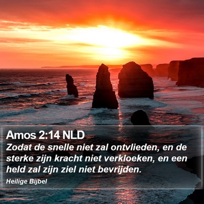 Amos 2:14 NLD Bible Verse Image