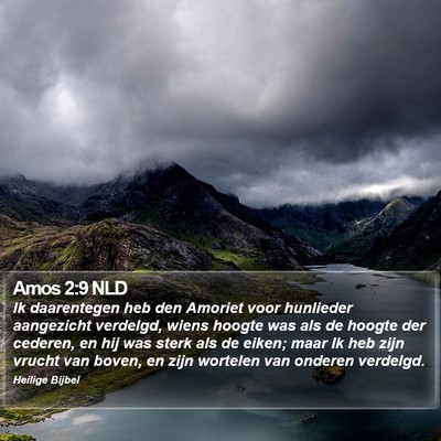 Amos 2:9 NLD Bible Verse Image