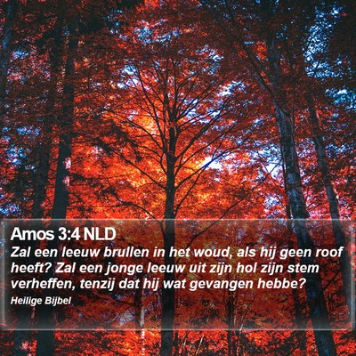 Amos 3:4 NLD Bible Verse Image