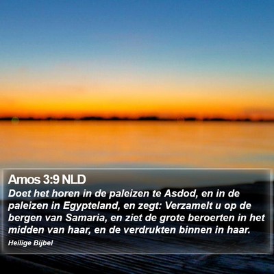 Amos 3:9 NLD Bible Verse Image