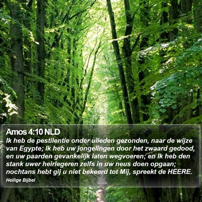 Amos 4:10 NLD Bible Verse Image
