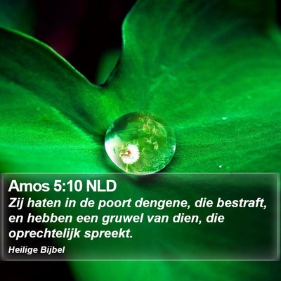 Amos 5:10 NLD Bible Verse Image