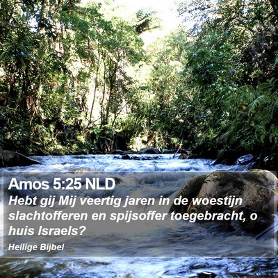 Amos 5:25 NLD Bible Verse Image