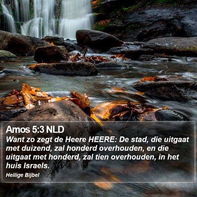 Amos 5:3 NLD Bible Verse Image