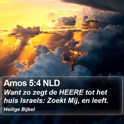 Amos 5:4 NLD Bible Verse Image