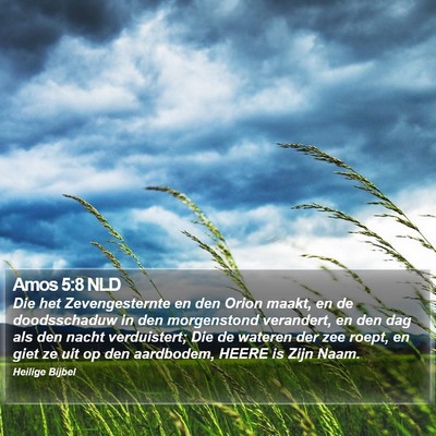Amos 5:8 NLD Bible Verse Image