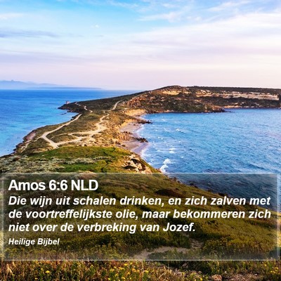 Amos 6:6 NLD Bible Verse Image