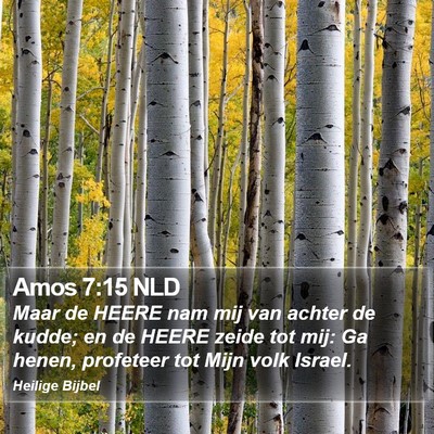 Amos 7:15 NLD Bible Verse Image