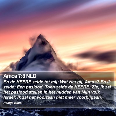 Amos 7:8 NLD Bible Verse Image