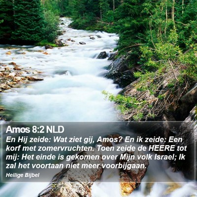 Amos 8:2 NLD Bible Verse Image