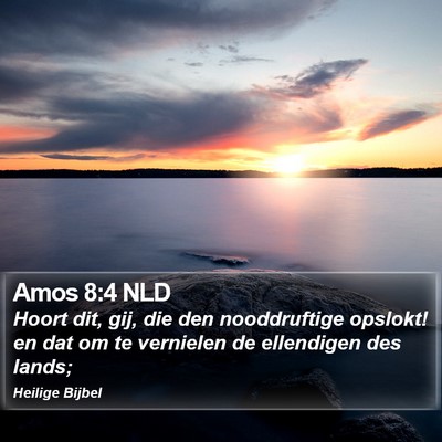 Amos 8:4 NLD Bible Verse Image