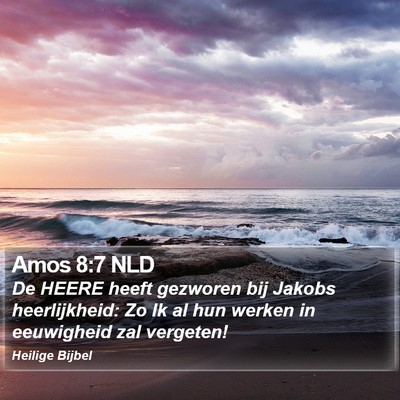 Amos 8:7 NLD Bible Verse Image
