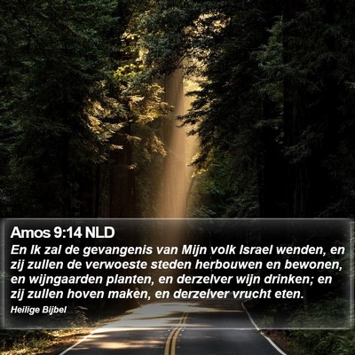 Amos 9:14 NLD Bible Verse Image