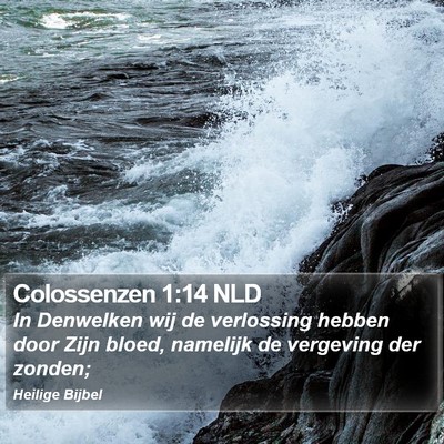 Colossenzen 1:14 NLD Bible Verse Image