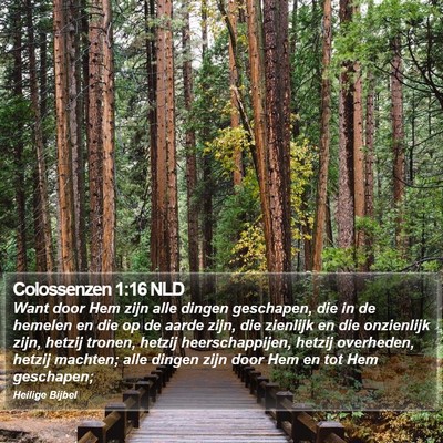 Colossenzen 1:16 NLD Bible Verse Image
