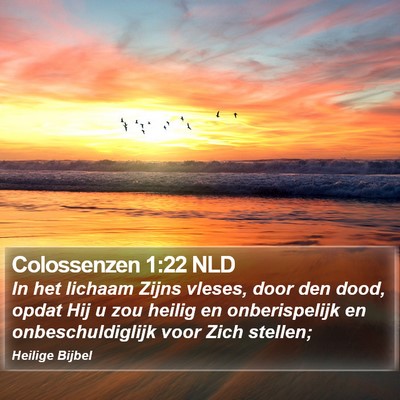 Colossenzen 1:22 NLD Bible Verse Image
