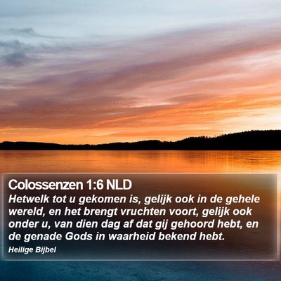 Colossenzen 1:6 NLD Bible Verse Image