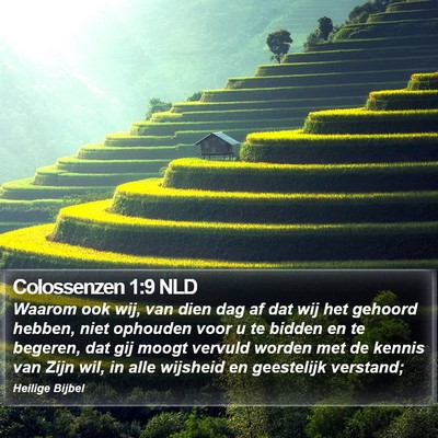 Colossenzen 1:9 NLD Bible Verse Image