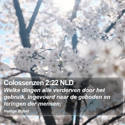 Colossenzen 2:22 NLD Bible Verse Image