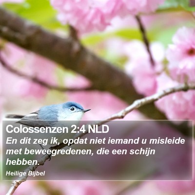 Colossenzen 2:4 NLD Bible Verse Image