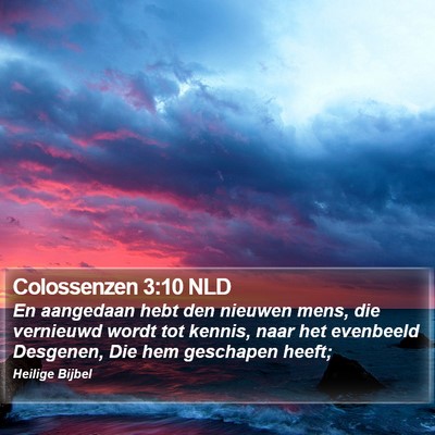 Colossenzen 3:10 NLD Bible Verse Image