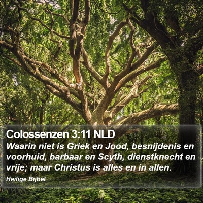 Colossenzen 3:11 NLD Bible Verse Image