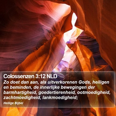 Colossenzen 3:12 NLD Bible Verse Image