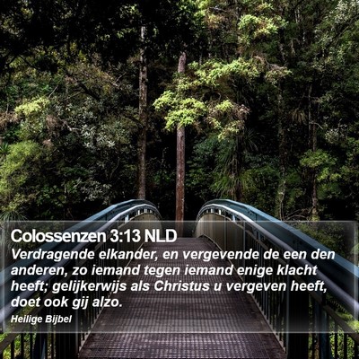 Colossenzen 3:13 NLD Bible Verse Image