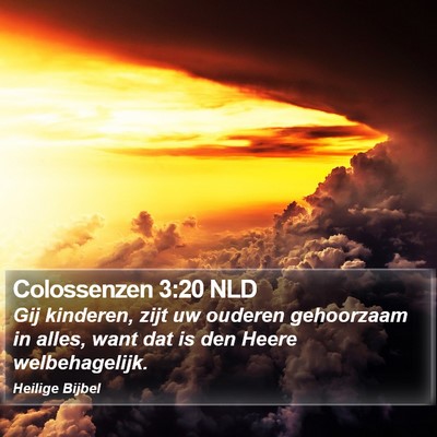 Colossenzen 3:20 NLD Bible Verse Image