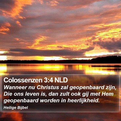 Colossenzen 3:4 NLD Bible Verse Image