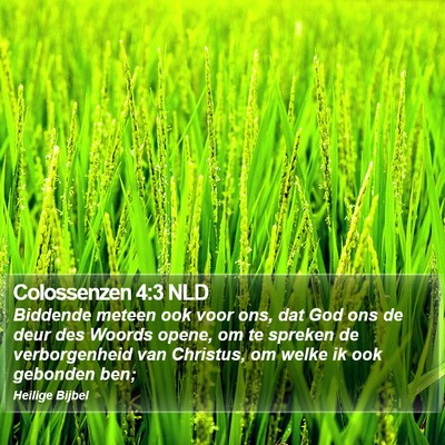 Colossenzen 4:3 NLD Bible Verse Image